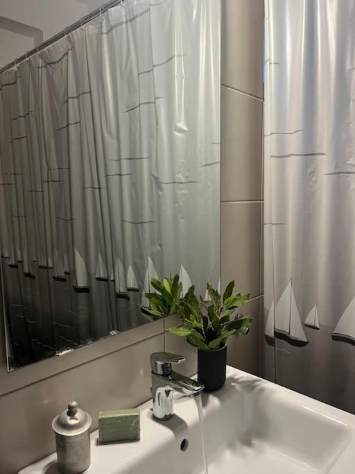 Aurora Studio Lagonissi Lagonisi Exteriör bild